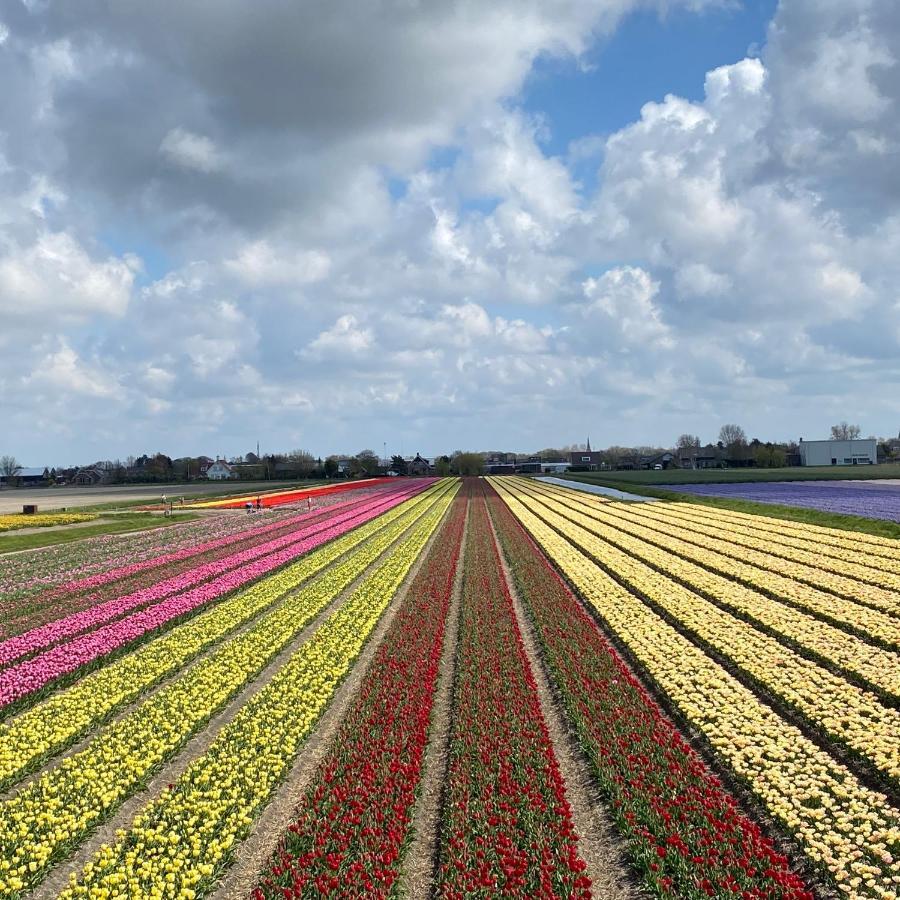 Emma Lodge Zandvoort Dış mekan fotoğraf