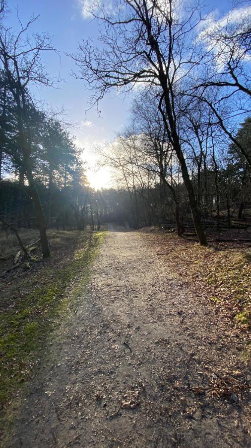 Emma Lodge Zandvoort Dış mekan fotoğraf