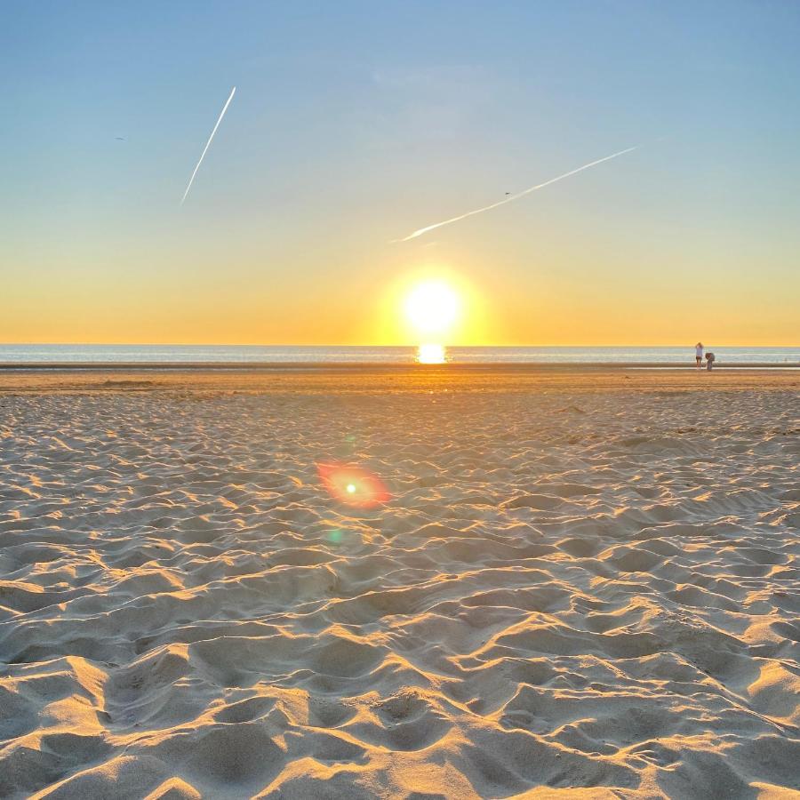 Emma Lodge Zandvoort Dış mekan fotoğraf